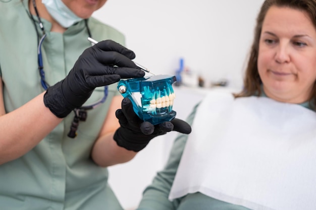 Dental doctor use model of jew during dental consultations to visually demonstrate treatment