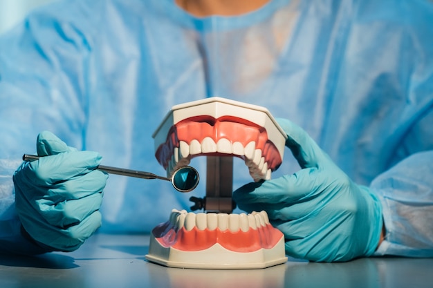 A dental doctor wearing blue gloves and a mask holds a dental model of the upper and lower jaws and a dental mirror.