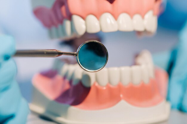 A dental doctor wearing blue gloves and a mask holds a dental model of the upper and lower jaws and a dental mirror