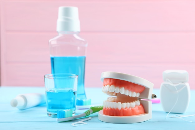 Dental model of teeth and dental care products on colored background