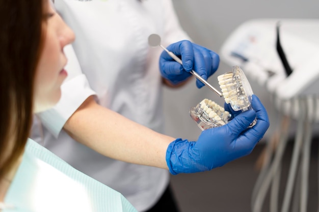 Dentist doctor shows an open jaw to an attractive female patient A dentist and a patient discuss dental treatment installation of implants