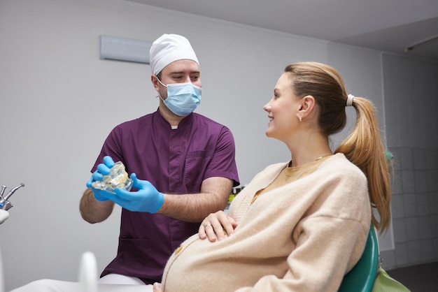 Dentist explains to a pregnant woman the treatment that needs to do using sample of human jaw bone