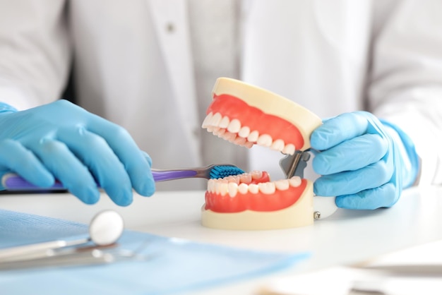 Dentist hands with human jaw and toothbrush oral care concept