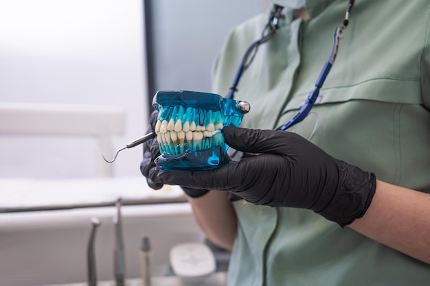 Dentist holding denture jaw model showing caries Concepts of oral health problems and dental care