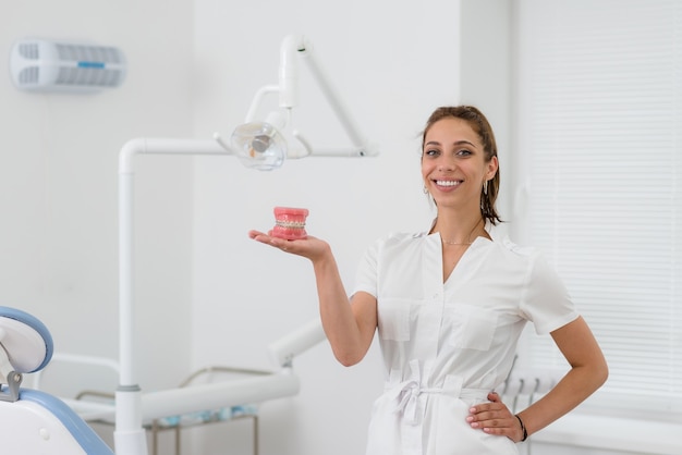 Dentist holds in his hand a model of the jaw with braces