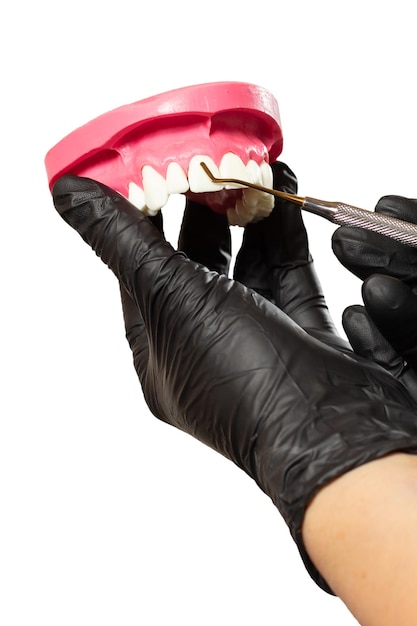 Dentist's hands with layout of the human jaw and midical tool