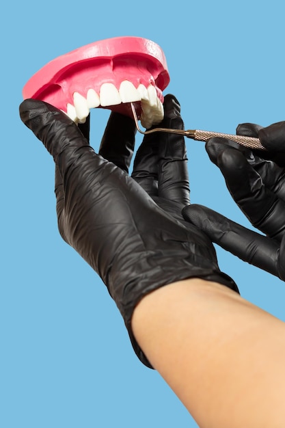 Dentist's hands with layout of the human jaw and midical tool