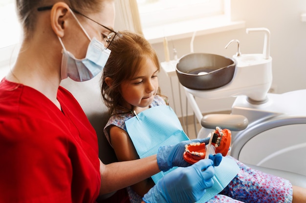 Dentist shows child how to properly use toothbrush for brush teeth Jaw anatomical model teeth brushing Pediatric dentist teaching oral hygiene lesson for kids in dentistry