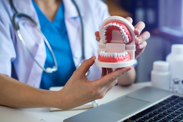 Dentist sitting at table with jaw samples tooth model and working with tablet and laptop in dental office professional dental clinic medical working