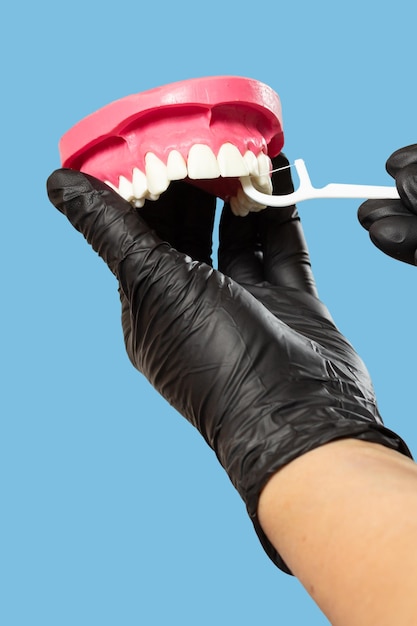 Dentist with floss toothpick and layout of the human jaw