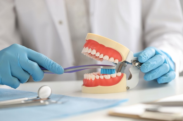 Dentist with gloves holds toothbrush and shows on jaw how to clean teeth correctly correct oral