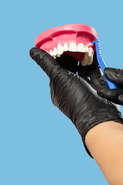 Dentist with interdental toothpick brush and layout of the human jaw