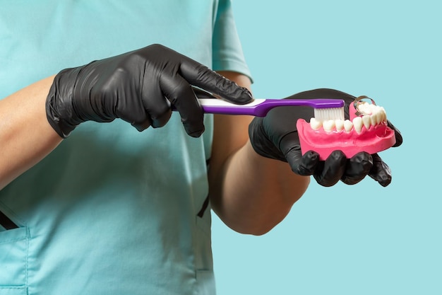 Dentist with toothbrush and layout of the human jaw