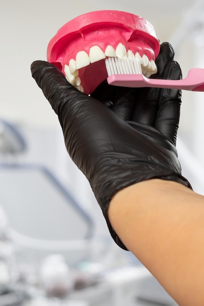 Dentist with toothbrush and layout of the human jaw