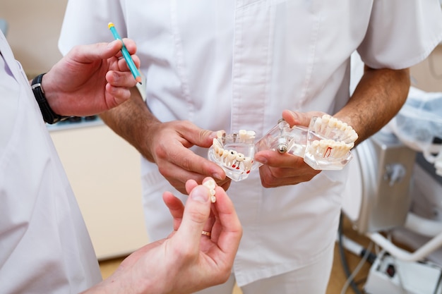 Dentists doctors stand in the office, clinic with a chair, tools. Dentist workplace. Orthodontists hold in their hands and examine the cast of the jaw. Dentistry concept.