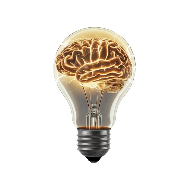 Depiction of human brain or intellect as lightbulb