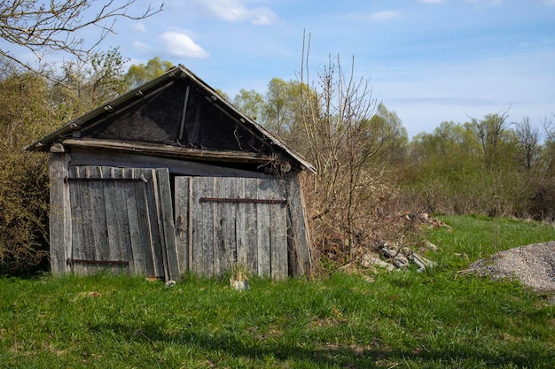 Derelict cattle shed with a rusted corrugated tin roof