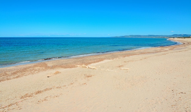 Desert beach with driftwood in Platamona Sardinia