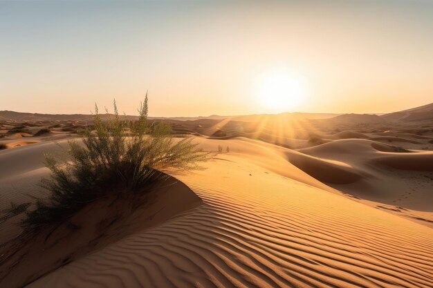 Desert dunes in the early morning with a view of the sunrise