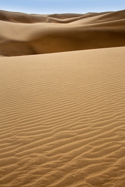 Desert dunes sand in Maspalomas Gran Canaria