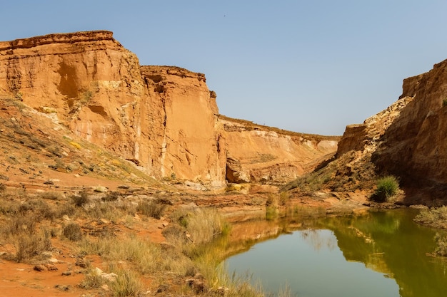 Desert Landscape Background