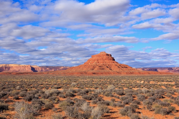 Desert landscape in the spring, Utah, USA.