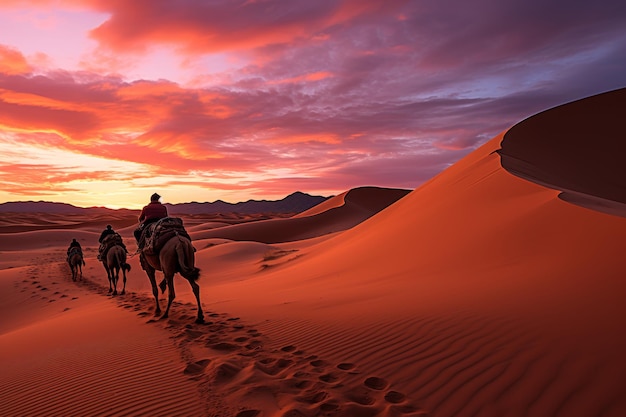 Desert landscape at sunset with camels pink skies sun setting over horizon sand dunes stretch