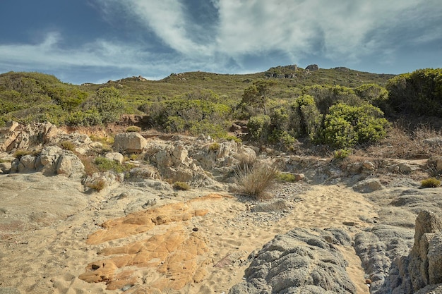 The desert and the Mediterranean hills