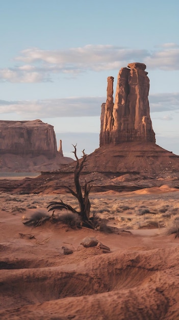 Photo desert in monument valley with an old tree nationalpark arizona usa