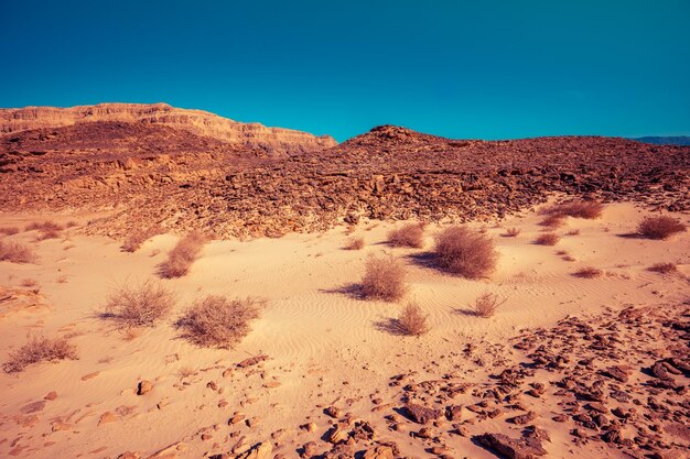 Desert nature landscape Sandstone rocks in Timna park Israel