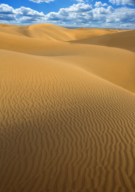 Desert sand dunes in Maspalomas Gran Canaria