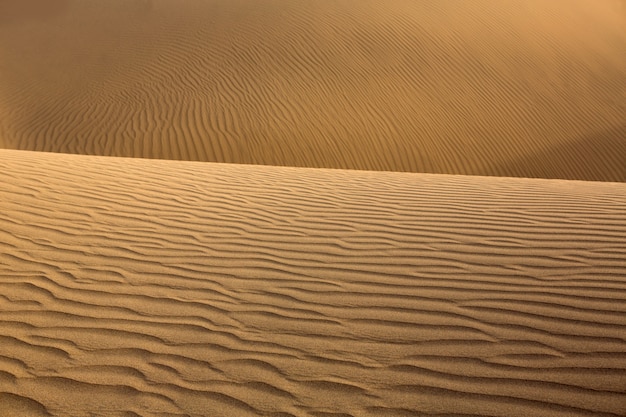 Desert sand dunes in Maspalomas Gran Canaria