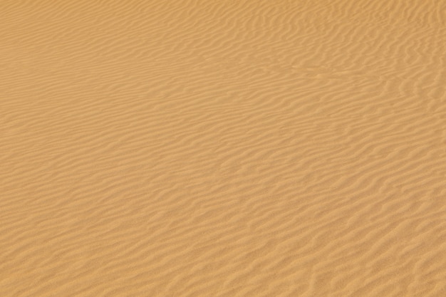 desert sand texture, pattern, surface