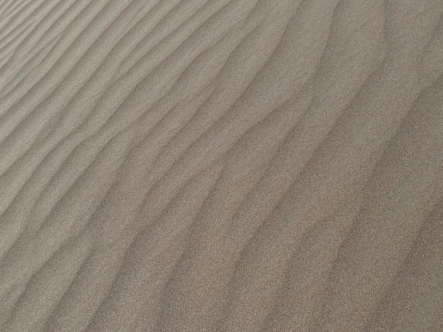 desert and sand waves and ripple background photo