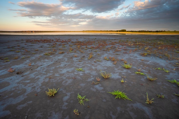 Desert soil in a dry lagoon La Pampa province Patagonia Argentina