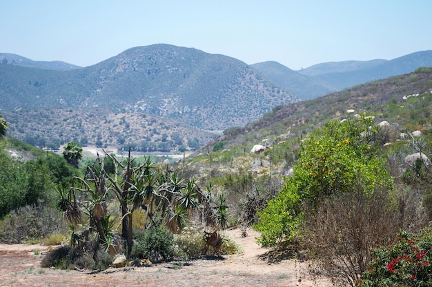 Desert surrounding Lake Hodges California