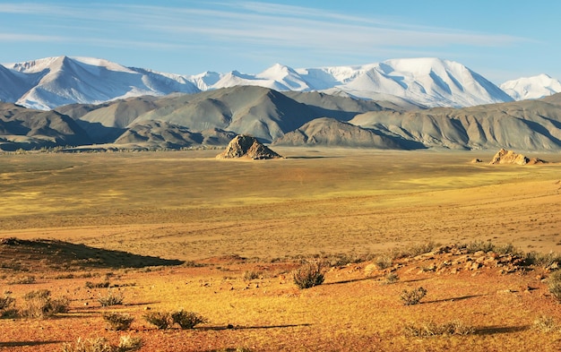 Desert valley in the mountains of Mongolia