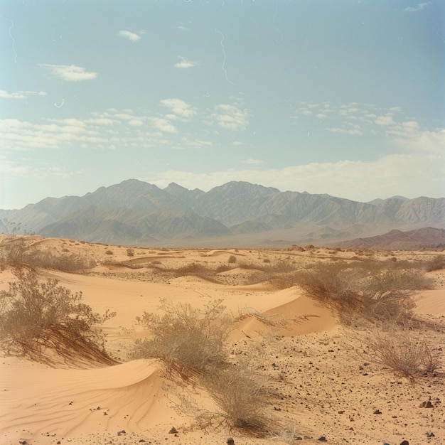 a desert with mountains in the background and a desert landscape