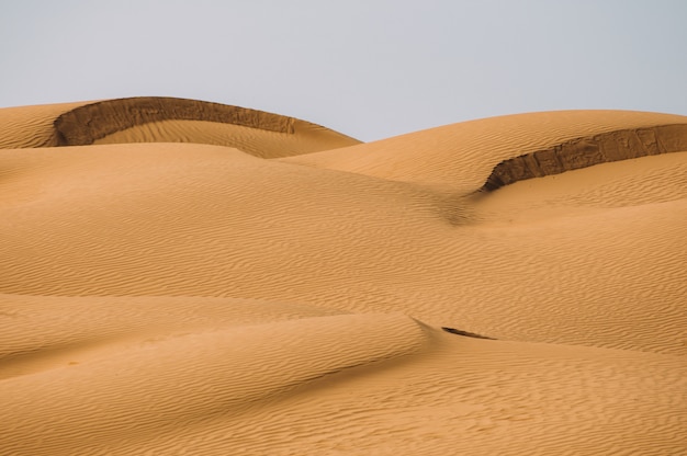 Desert with sand dunes on a clear sunny day. Desert landscape.