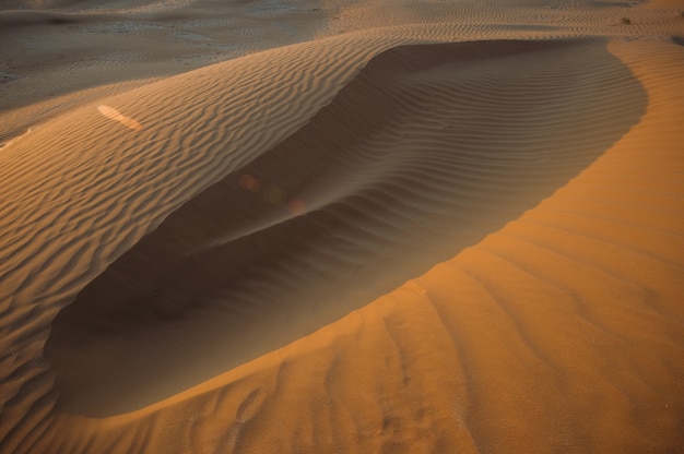 Desert with sand dunes on a clear sunny day. Desert landscape.