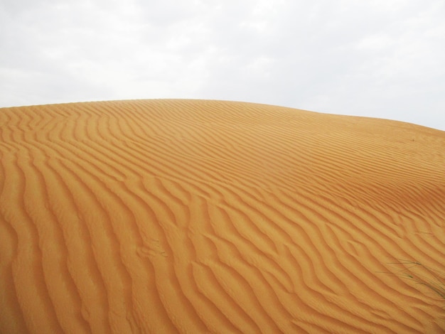 desert with warm colors  sand dunes