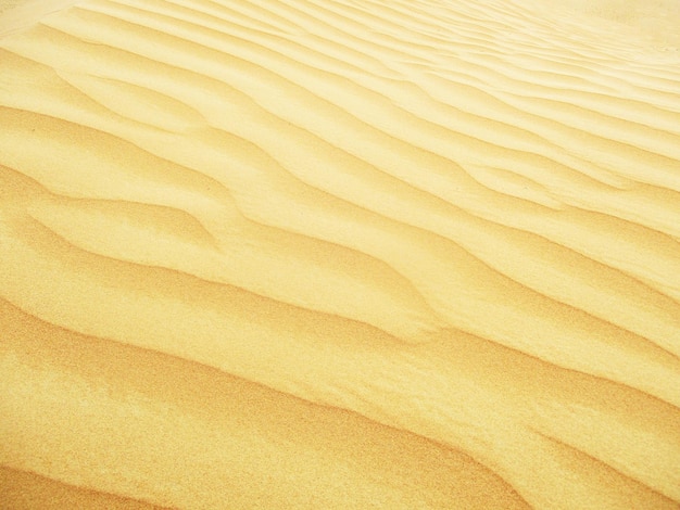 desert with warm colors  sand dunes