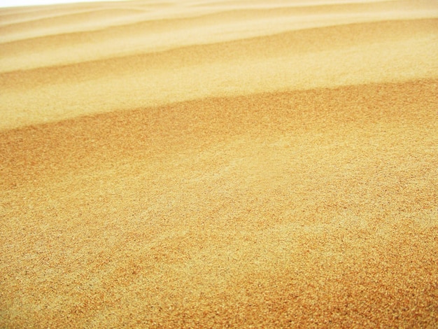 desert with warm colors  sand dunes