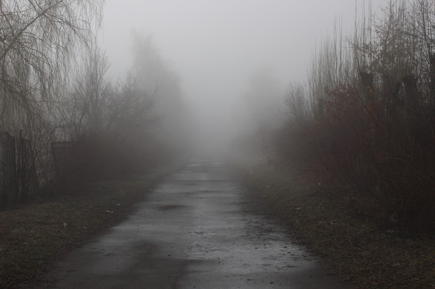 Deserted trail in the fog. The road to the unknown. Mystical landscape.