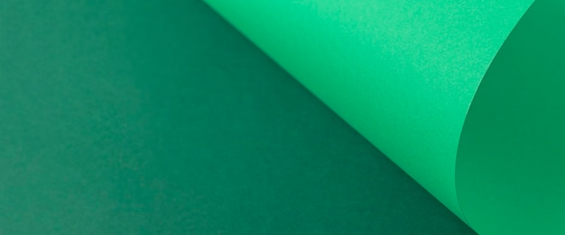 Design background curved background from green cardboard. Top view, flat lay. Banner.