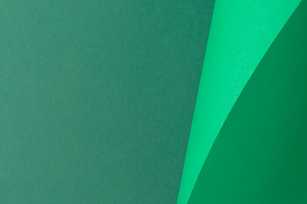 Design background curved background from green cardboard. Top view, flat lay.