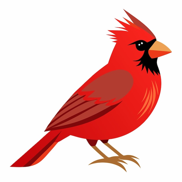 Photo designing elegant northern cardinal vectors a creative approach