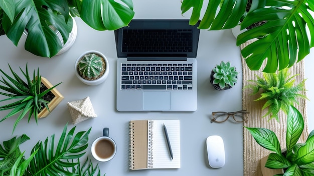 Desk with Laptop Plants and Accessories