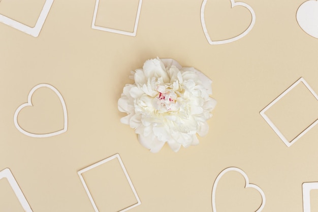 Desktop for romantic holiday or Valentines Day with white peony flower empty paper