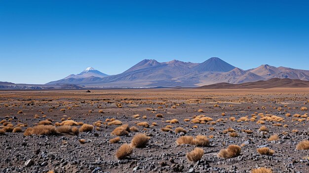 Photo a desolate desert terrain with rough wornout hills and faroff peaks against a cloudless sky in a remote location